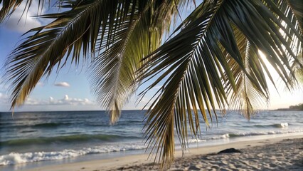 Fototapeta premium palm trees on the beach