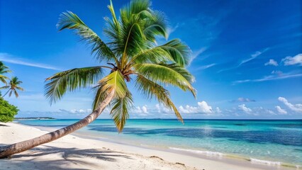 Fototapeta premium tree on the beach