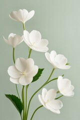 Obraz premium White Flowers and Green Leaves on a Pastel Green Background.