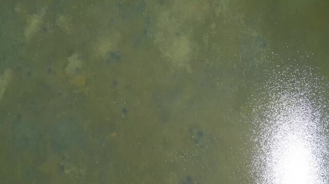 Grado Lagoon seen from above. Between waters, islands and uncontaminated nature