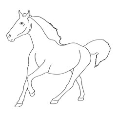 Horse line art vector design. Horse outline illustration design.