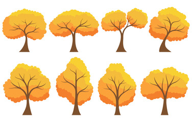 Autumn tree set. Collection of tree isolated on a white background. Each species of trees. A tree with orange leaves. Nature or healthy lifestyle topics. Vector illustration flat design style