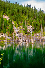 Obraz premium Sunken forest of Lake Kaindy in Kazakhstan. Beautiful mountain natural landscape. A blue lake with tree trunks sticking out of it. Panoramic view of the reserve.