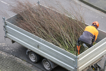 Blick von oben auf einen Mann mit Helm und Arbeitsschutzausrüstung, der auf einem Anhänger Äste...