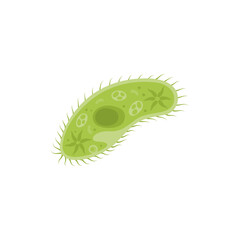 Paramecium Caudatum Illustration