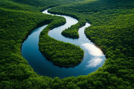 Realistic image of a river winding through a forest, with sunlight reflecting off the water, symbolizing the transcendentalist belief in the interconnectedness of all living things