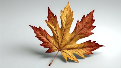 A single autumn leaf, golden brown and red with prominent veins, isolated against a white background.