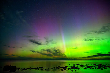 Aurora Borealis dancing above the Baltic Sea in Sweden