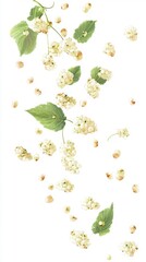 Realistic Falling White Mulberries with Leaves on a White Background. Generative AI