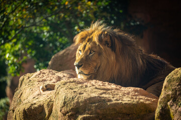 Zootiere im Erlebnis-Zoo Hannover © Thiemo