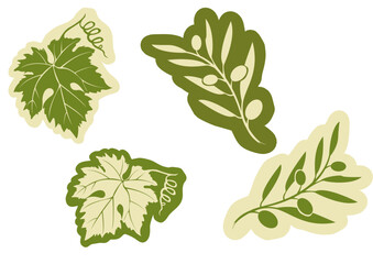 Feuille d&rsquo;Olivier et de vignes