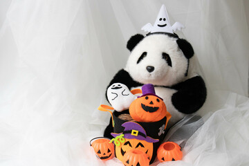 Halloween concept, Trick or Treat with Panda