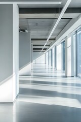 Empty Modern Office Corridor with Sunlight Streaming Through Windows