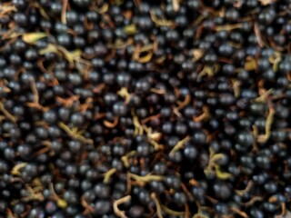 Close-up of blackcurrant berries. Defocused. Food background
