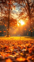 Autumnal Landscape with Sunbeams in the Park