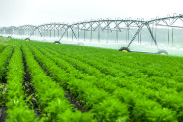 Blurred green field landscape with automatical irrigation process.