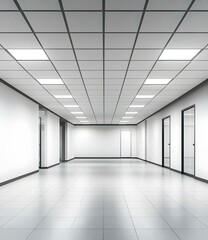 Empty White Office Interior Design with Tiled Ceiling