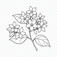 Beautiful Floral Bunch with Jasmine Line Art Vector Illustration in Delicate and Elegant Style