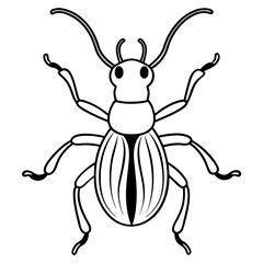 Weevil  line art vector illustration 