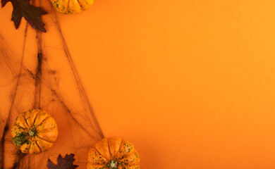 Halloween flat lay composition. Halloween decorations old branches from scary forest with pumpkins, spiders and autumn leaveson orange background. Halloween party greeting card mockup with copy space.