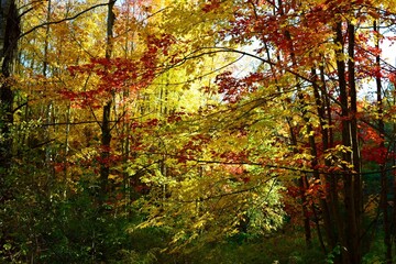 Autumn in Vermont