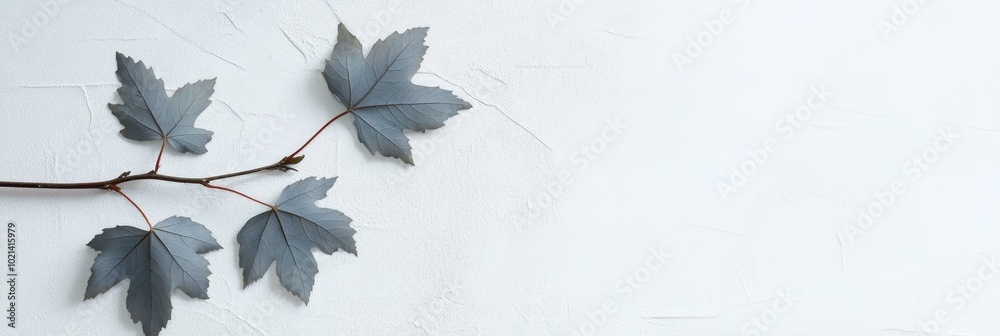 Poster Delicate Gray Maple Leaves on a White Textured Background, symbolizing nature, serenity, simplicity, elegance, and fall.