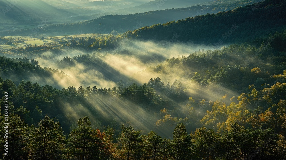 Poster aerial view of a misty forest with sun rays illuminating the landscape showcasing a mountain valley 