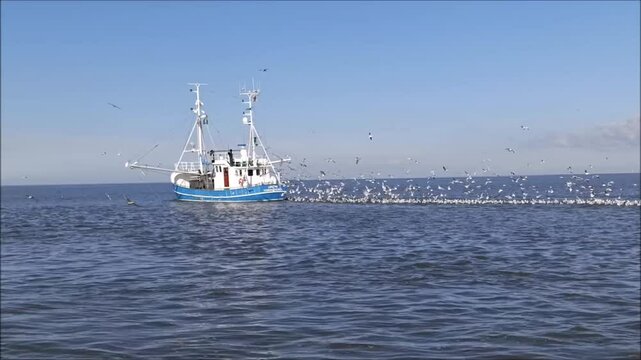 ein Fischkutter beim Fischen auf der Nordsee umringt von vielen M&ouml;wen 