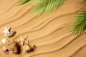 Flat lay composition with beautiful starfishes, stones and sea shells on sand with palm leaves and shadowes top view, space for text