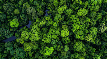 Naklejka premium Aerial view of a lush green forest with a winding river.
