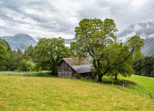 Wooden hamlet near Reichenbach falls in a rainy day
