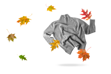 Soft casual grey sweater of natural cashmere wool flying with falling oak and maple leaves isolated on white background. Autumn and winter pure wool clothing.