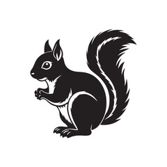 Obraz premium squirrel silhouette vector, black and white silhouette, vector and illustration, isolated on white background