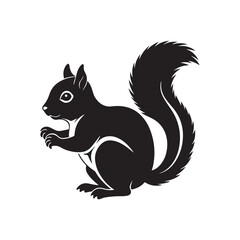 squirrel silhouette vector, black and white silhouette, vector and illustration, isolated on white background