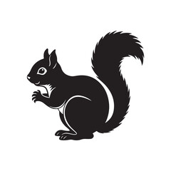 squirrel silhouette vector, black and white silhouette, vector and illustration, isolated on white background