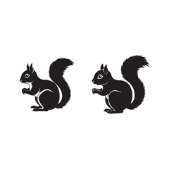 set of squirrel silhouette vector, black and white silhouette, vector and illustration, isolated on white background