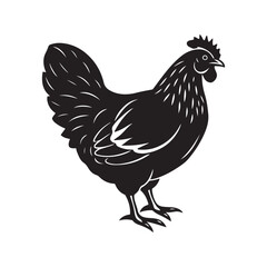 Chicken hen silhouette vector, black and white silhouette, vector and illustration, isolated on white background