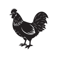 rooster silhouette vector, black and white silhouette, vector and illustration, isolated on white background