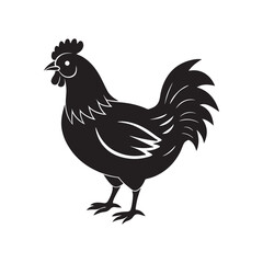 rooster silhouette vector, black and white silhouette, vector and illustration, isolated on white background