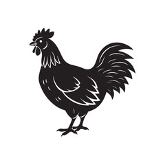 rooster silhouette vector, black and white silhouette, vector and illustration, isolated on white background