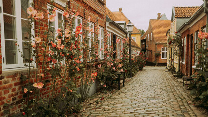 Naklejka premium Rue scandinave 