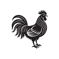 rooster silhouette vector, black and white silhouette, vector and illustration, isolated on white background