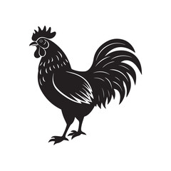 rooster silhouette vector, black and white silhouette, vector and illustration, isolated on white background