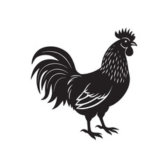 rooster silhouette vector, black and white silhouette, vector and illustration, isolated on white background