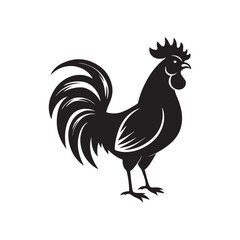rooster silhouette vector, black and white silhouette, vector and illustration, isolated on white background