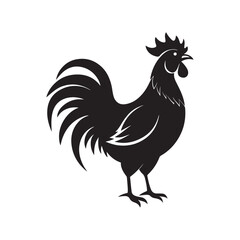 rooster silhouette vector, black and white silhouette, vector and illustration, isolated on white background