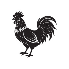 rooster silhouette vector, black and white silhouette, vector and illustration, isolated on white background