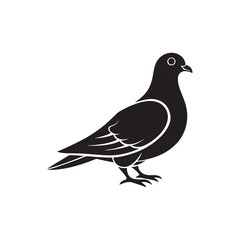 Fototapeta premium Pigeon silhouette vector, black and white silhouette, vector and illustration