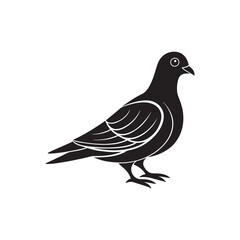 Pigeon silhouette vector, black and white silhouette, vector and illustration