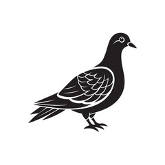 Obraz premium Pigeon silhouette vector, black and white silhouette, vector and illustration